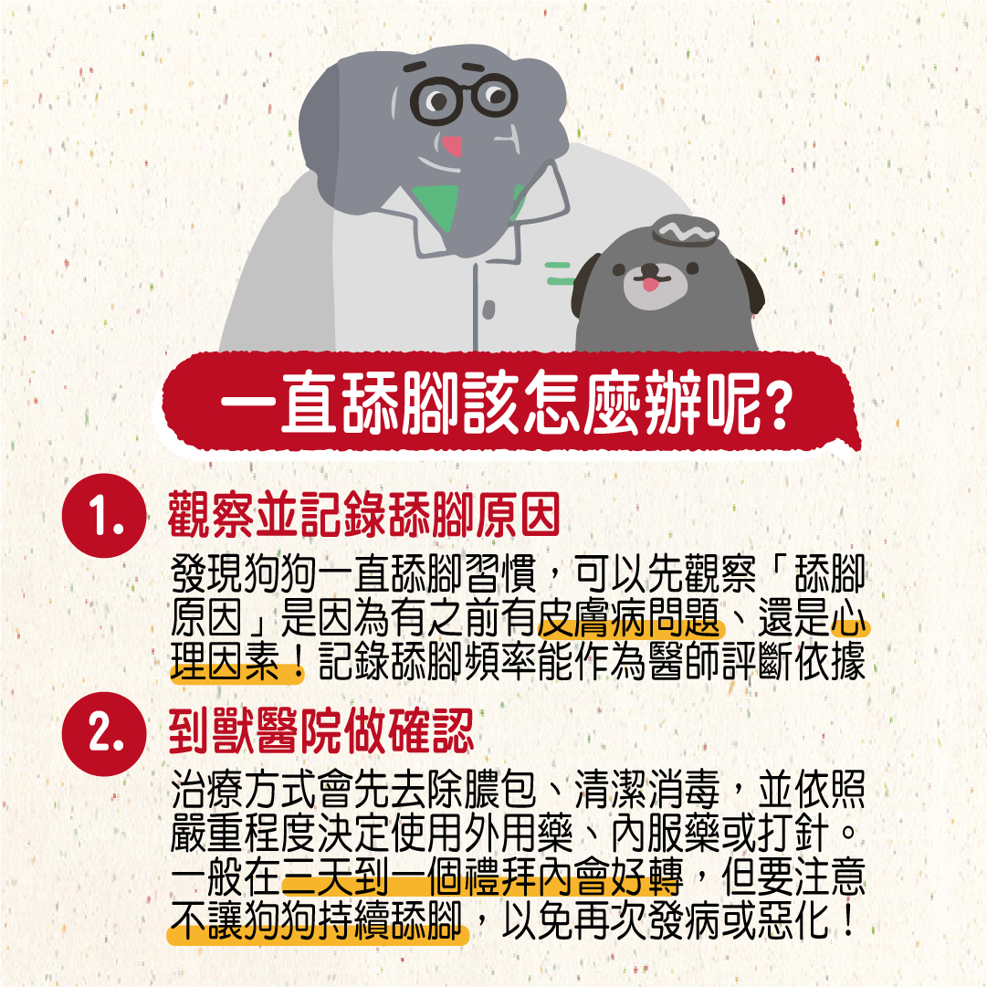 狗狗舔腳會怎樣 小心指尖炎找上 獸醫師好囉嗦 聯盟動物醫院