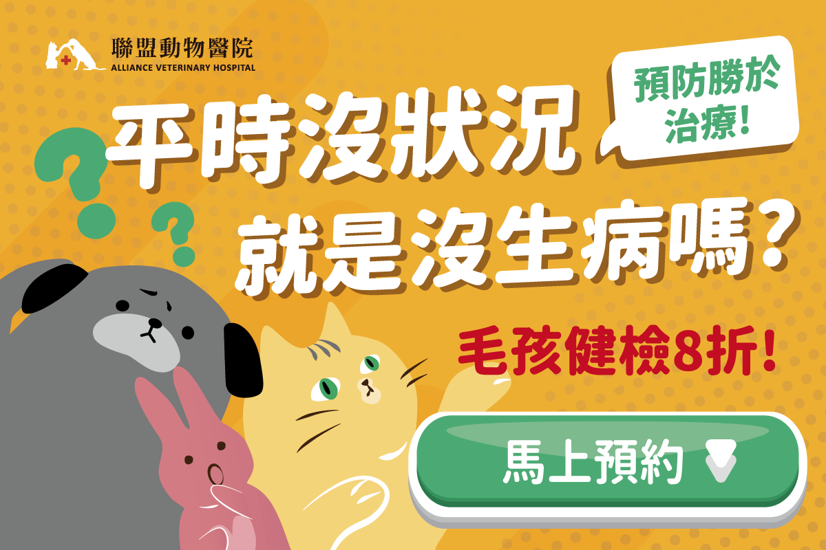 狗狗健檢項目 費用一次搞懂 健檢套組優惠報名中 獸醫師好囉嗦 聯盟動物醫院