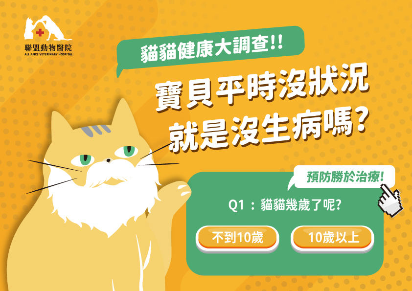 貓咪健檢套組一次搞懂（健檢套組優惠報名中）  獸醫師好囉嗦 聯盟 