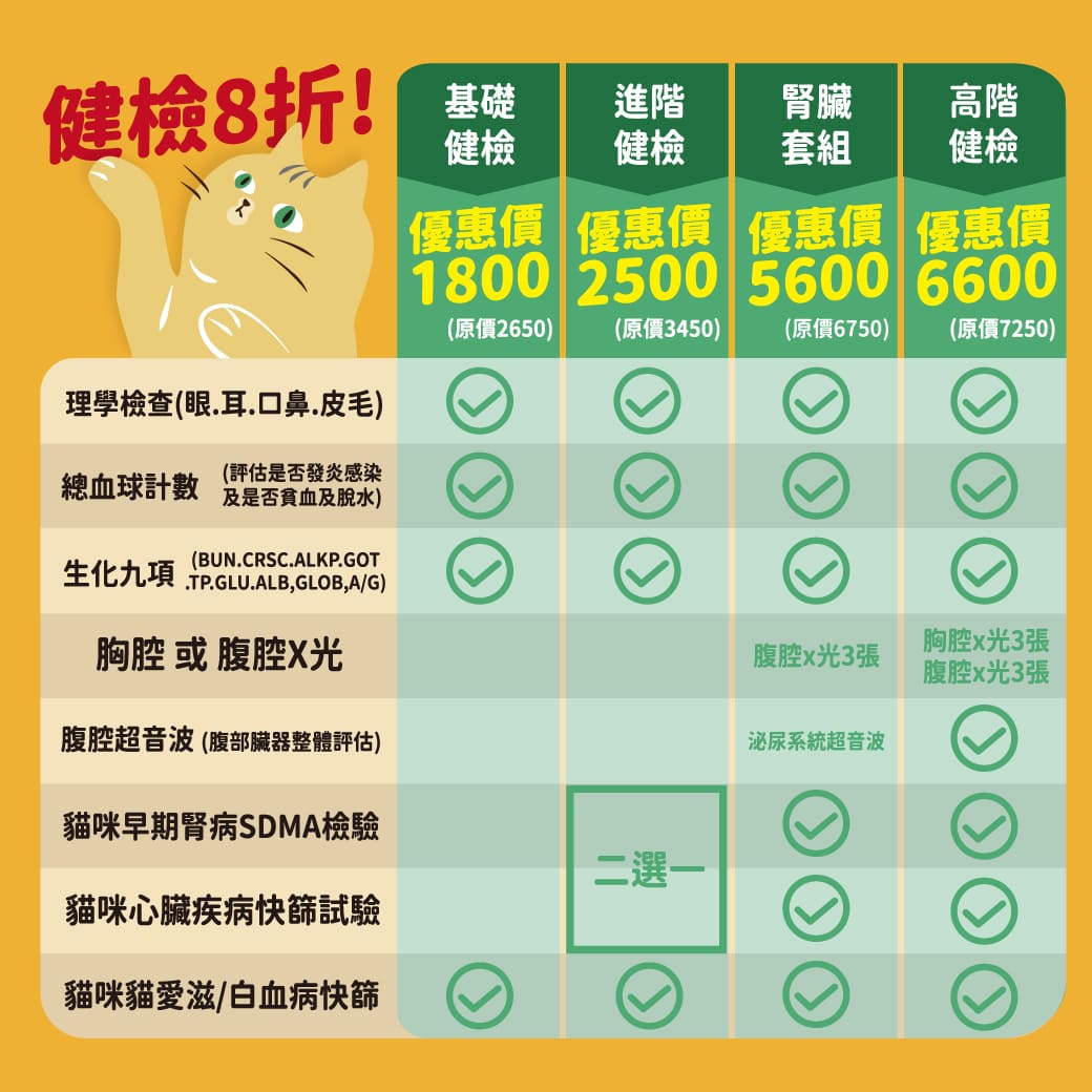 貓咪健檢套組一次搞懂 健檢套組優惠報名中 獸醫師好囉嗦 聯盟動物醫院