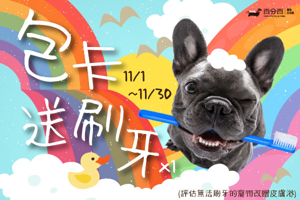 【11月美容活動】包卡送刷牙