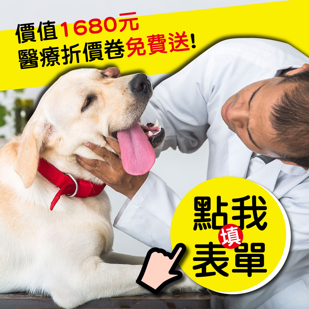 【我通通要~~~1680元折價券來啦！】聯盟動物醫院 旗楠分院開幕 好禮享不完