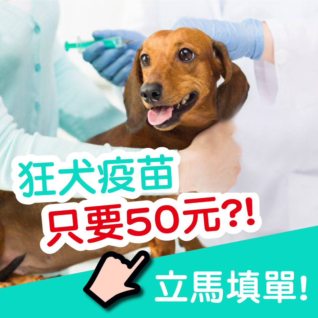 【狂犬疫苗銅板價！！】聯盟動物醫院 旗楠分院開幕 好禮享不完