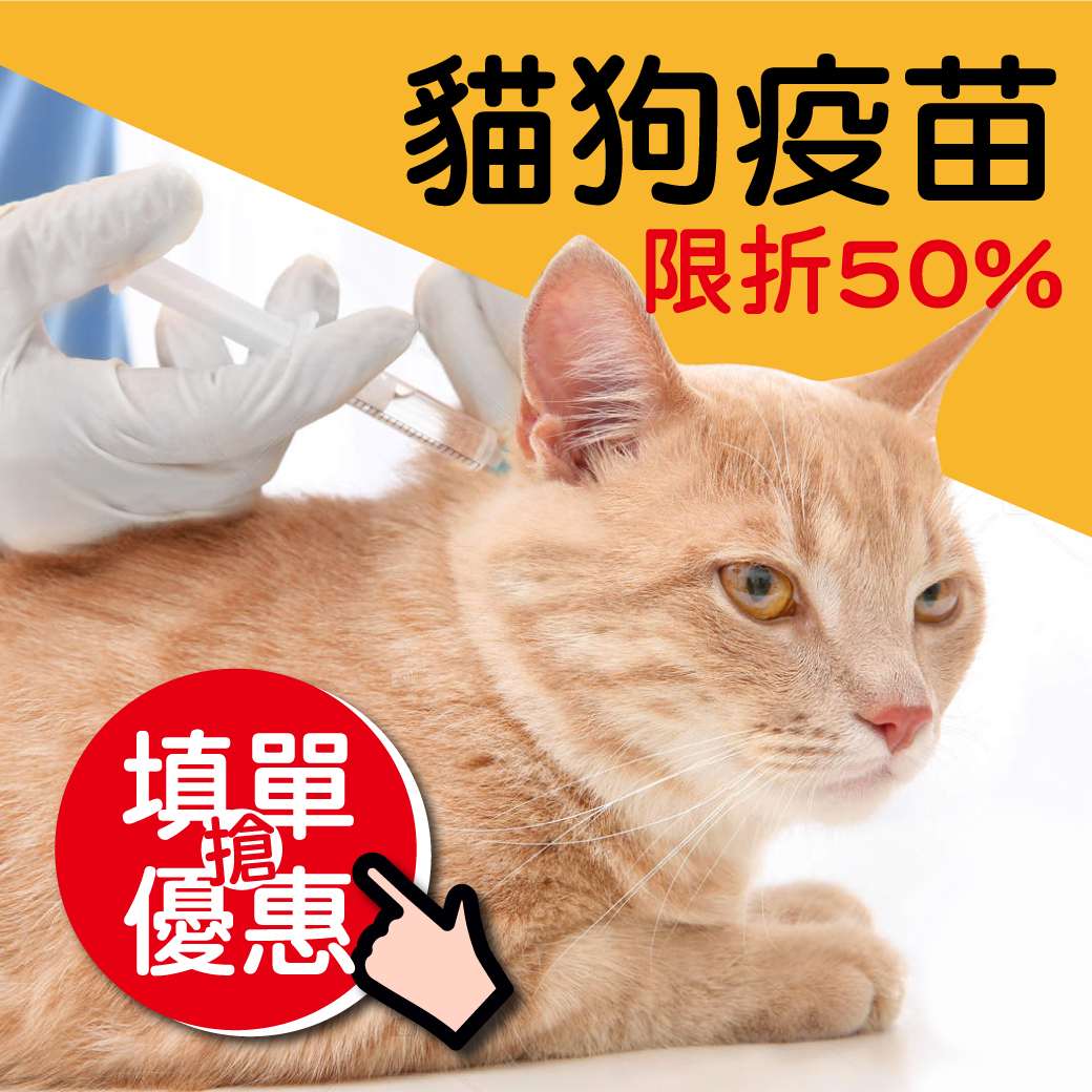 【年度犬貓疫苗5折！！？】聯盟動物醫院 旗楠分院開幕 好禮享不完