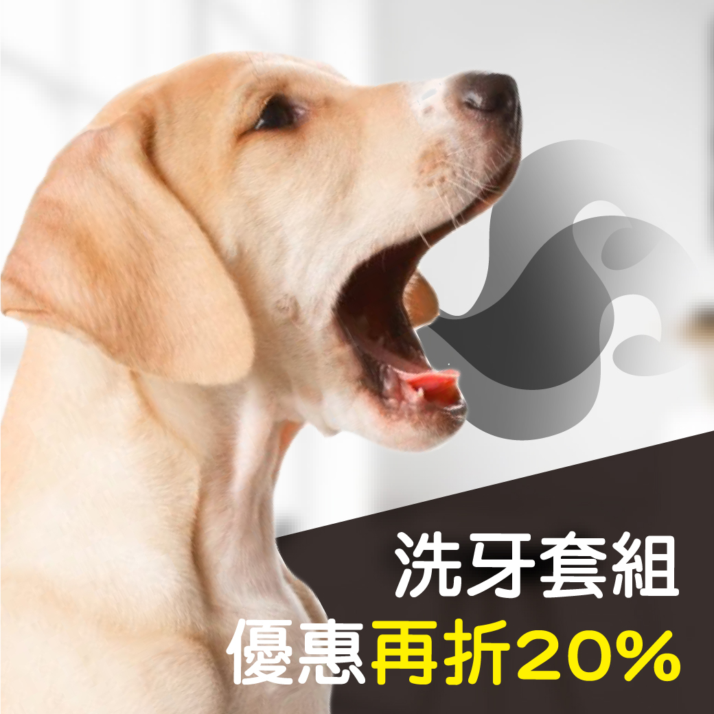 【洗牙套組