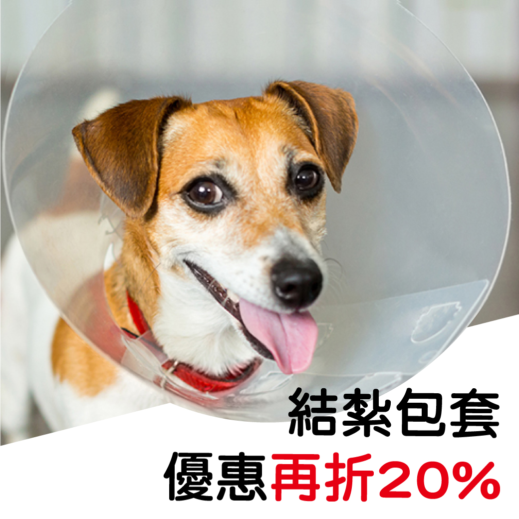 【包套結紮8折！】聯盟動物醫院 旗楠分院開幕 好禮享不完