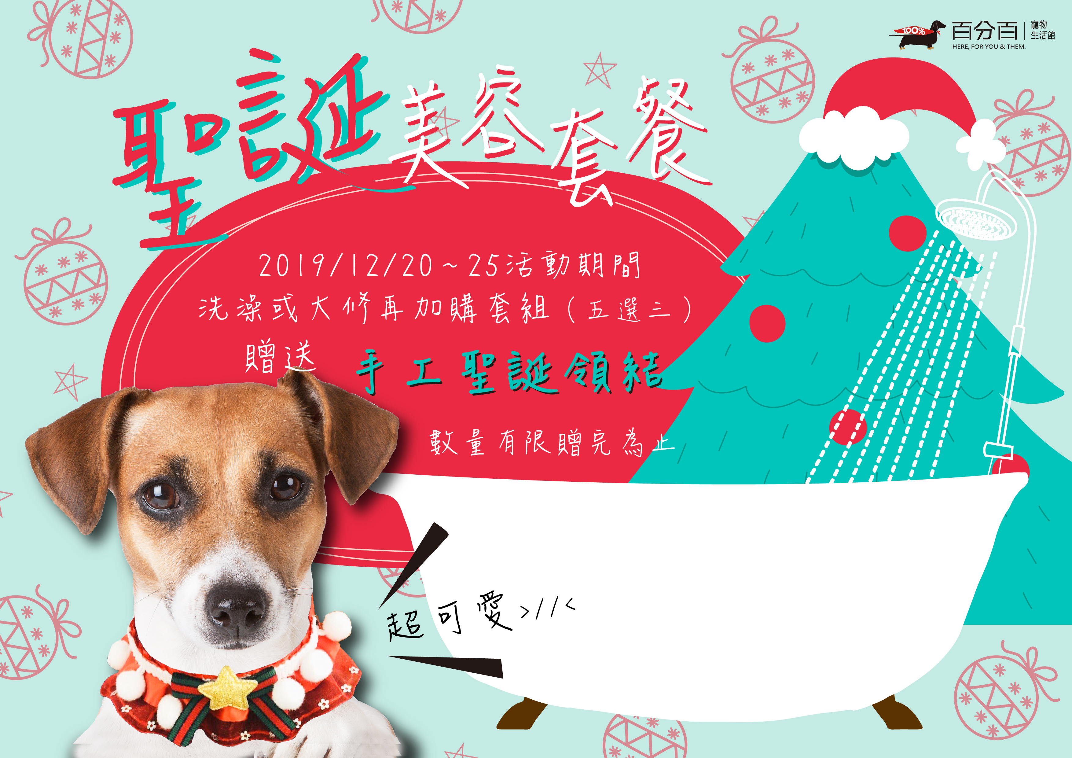 聖誕節也想美美過！毛界網美爆款領結加購送！