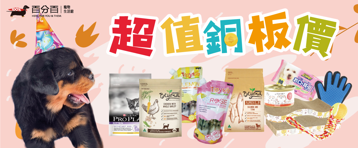 新店開幕第1彈！！銅板價優惠搶先看
