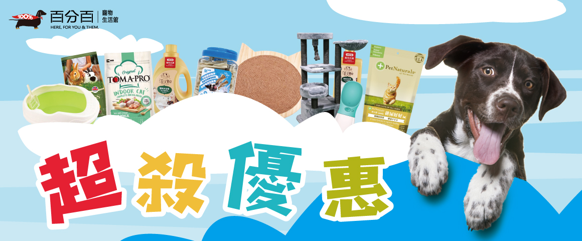 新店開幕限定第3彈  超殺優惠價！