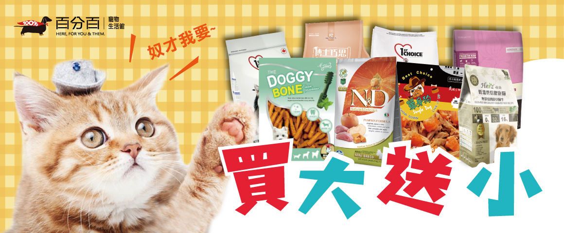 新店開幕限定第5彈  買大送小最甘心！