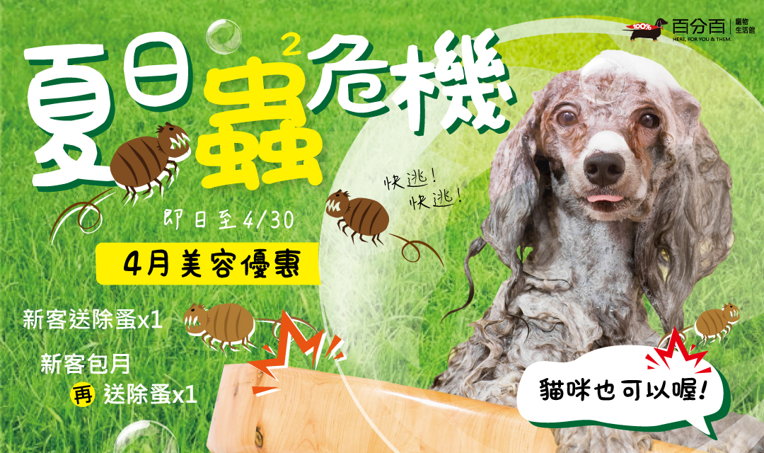 【4月美容活動】新客除蚤優惠！！