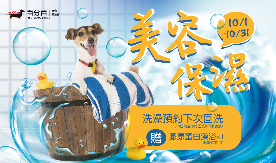 十月美容活動：回洗 贈 膠原蛋白一次