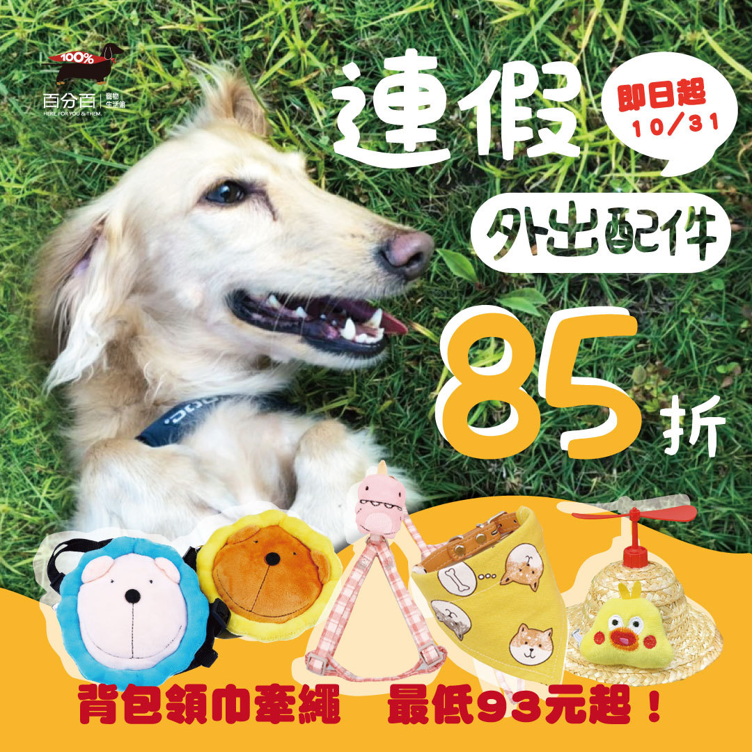 門市獨家：寵物外出配件 85折