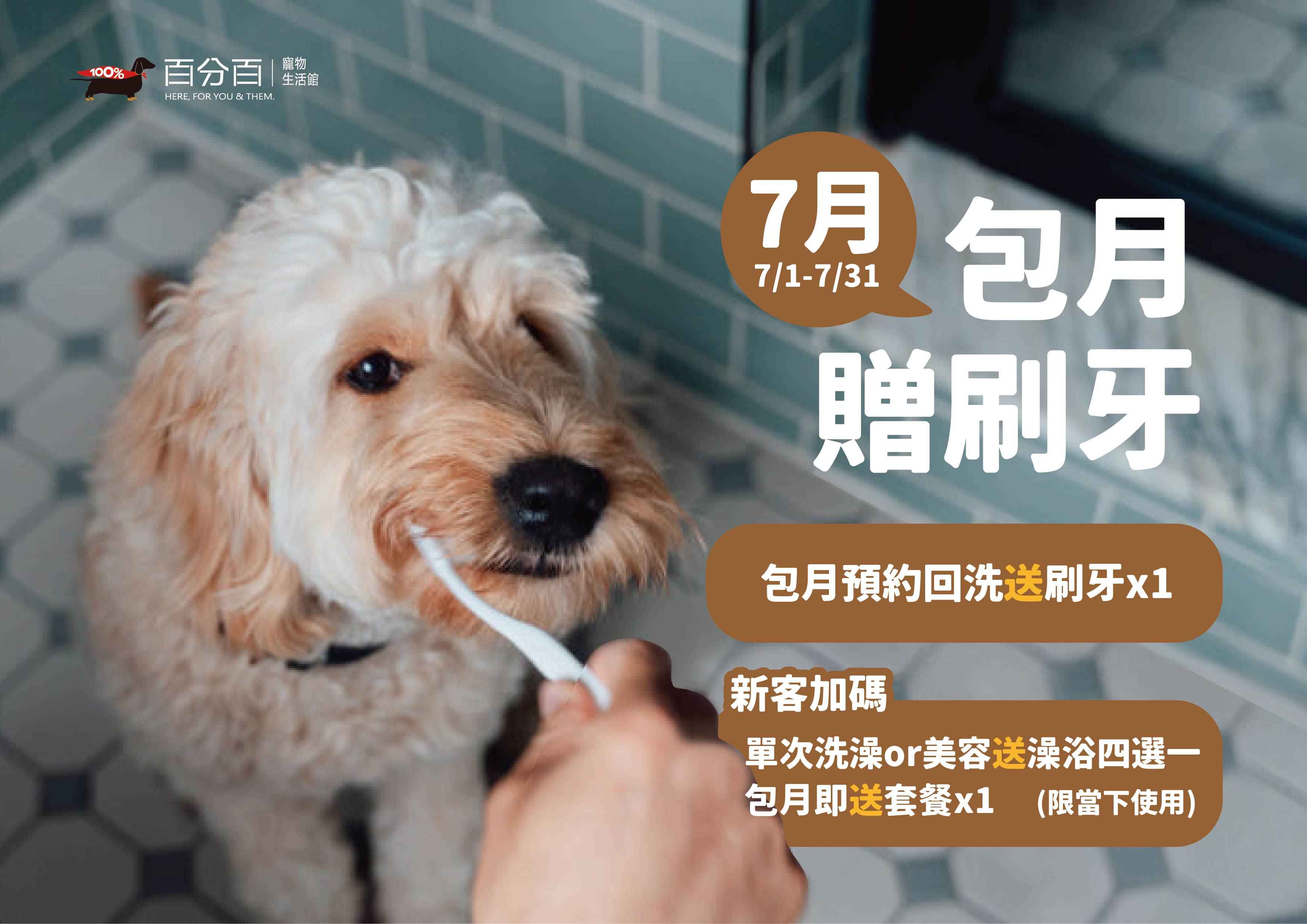 七月美容包月送刷牙