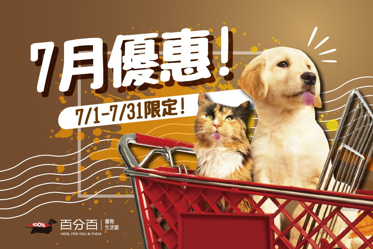 7月優惠來囉：飼料、肉泥、罐罐好便宜