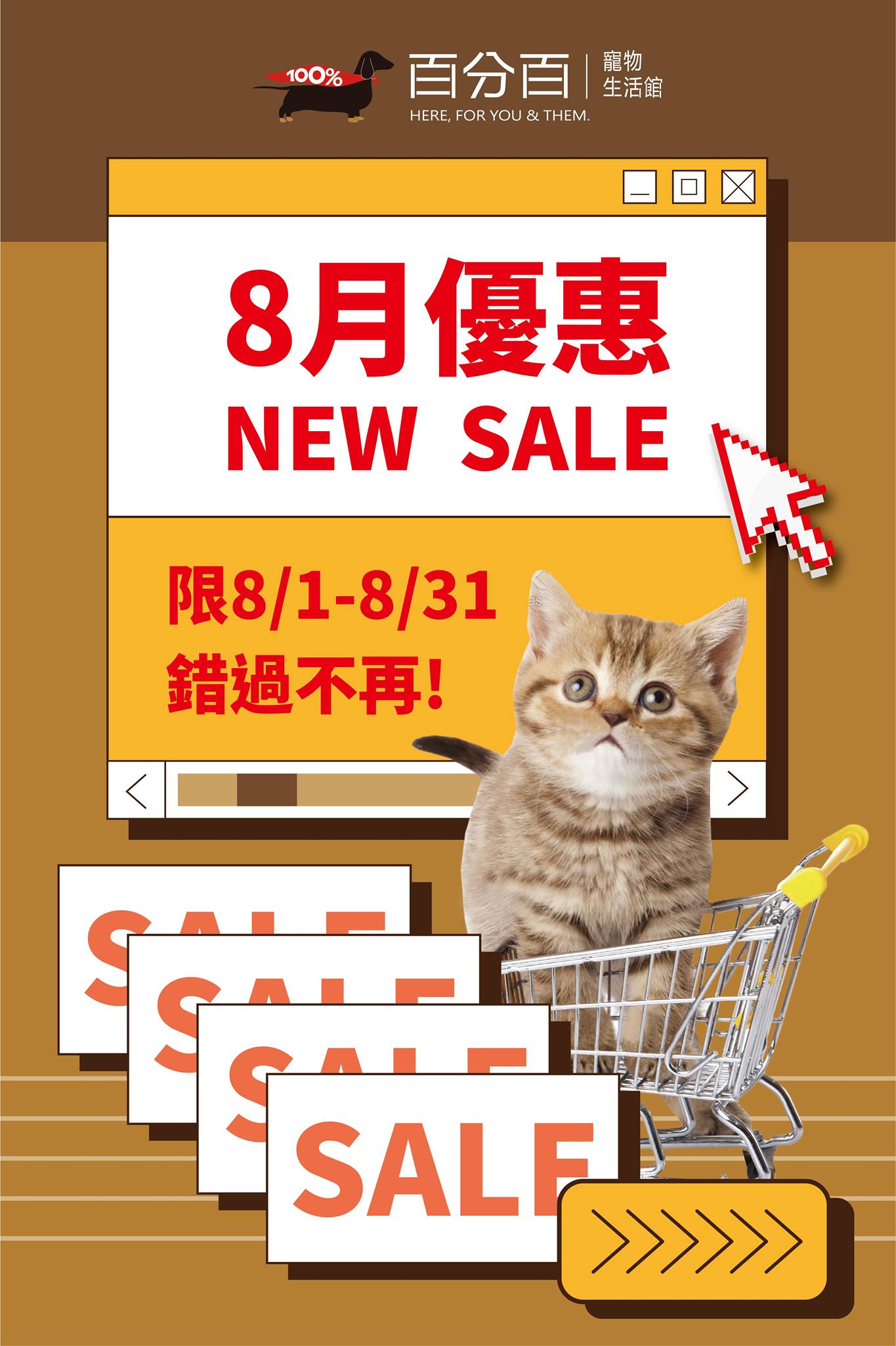 8月優惠看過來看過來
