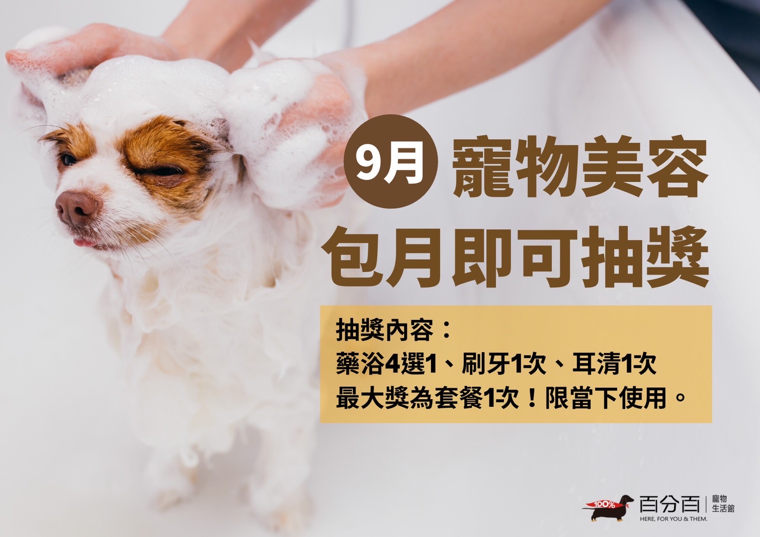 9月美容包月即可抽獎
