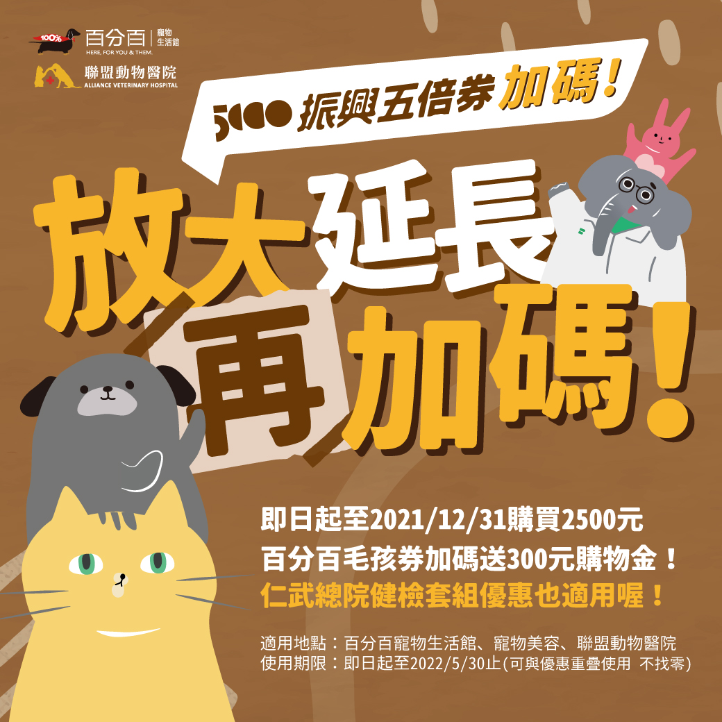 紙本五倍券 加碼方案來了！