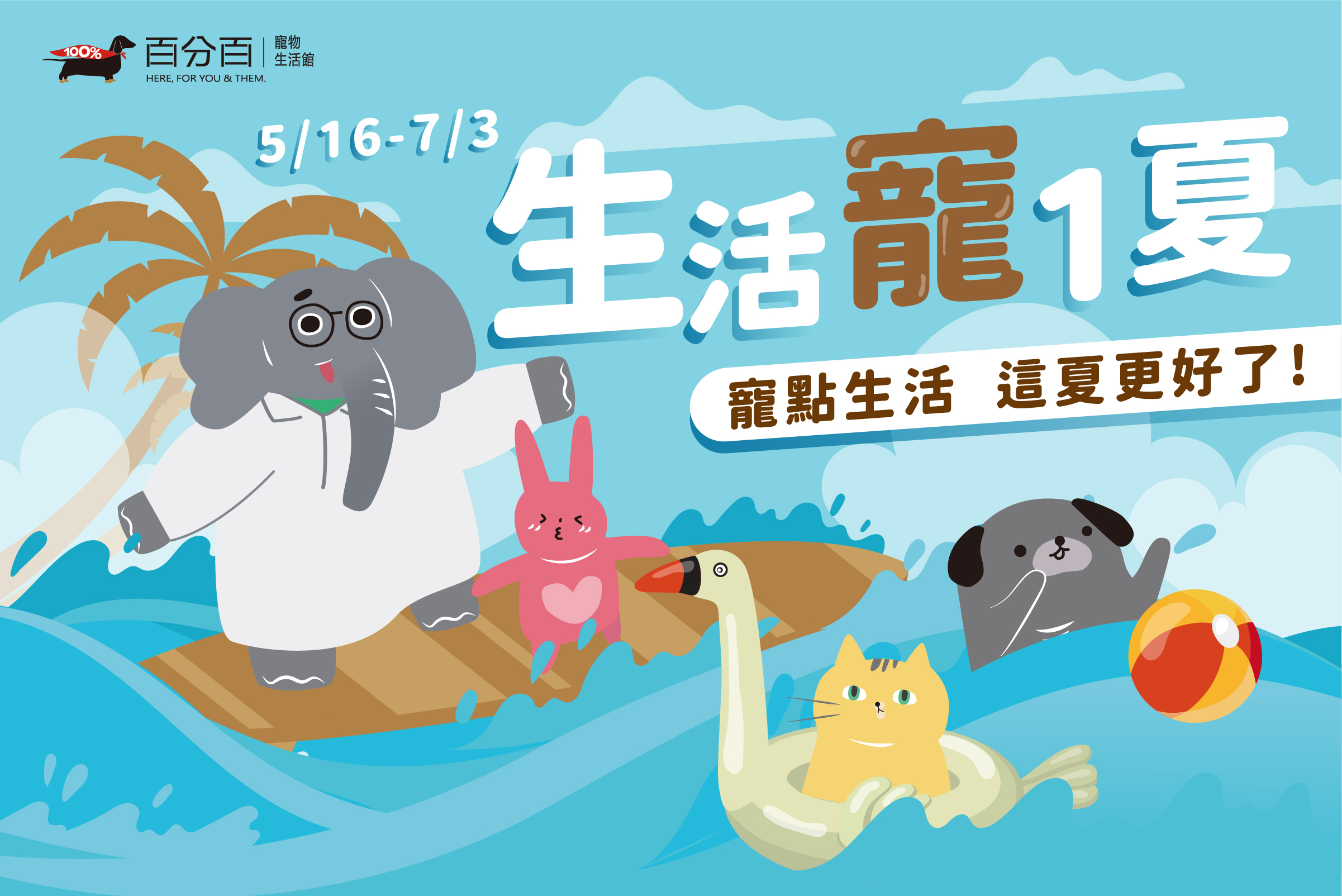 5 -6月寵物生活用品特賣活動！開跑！
