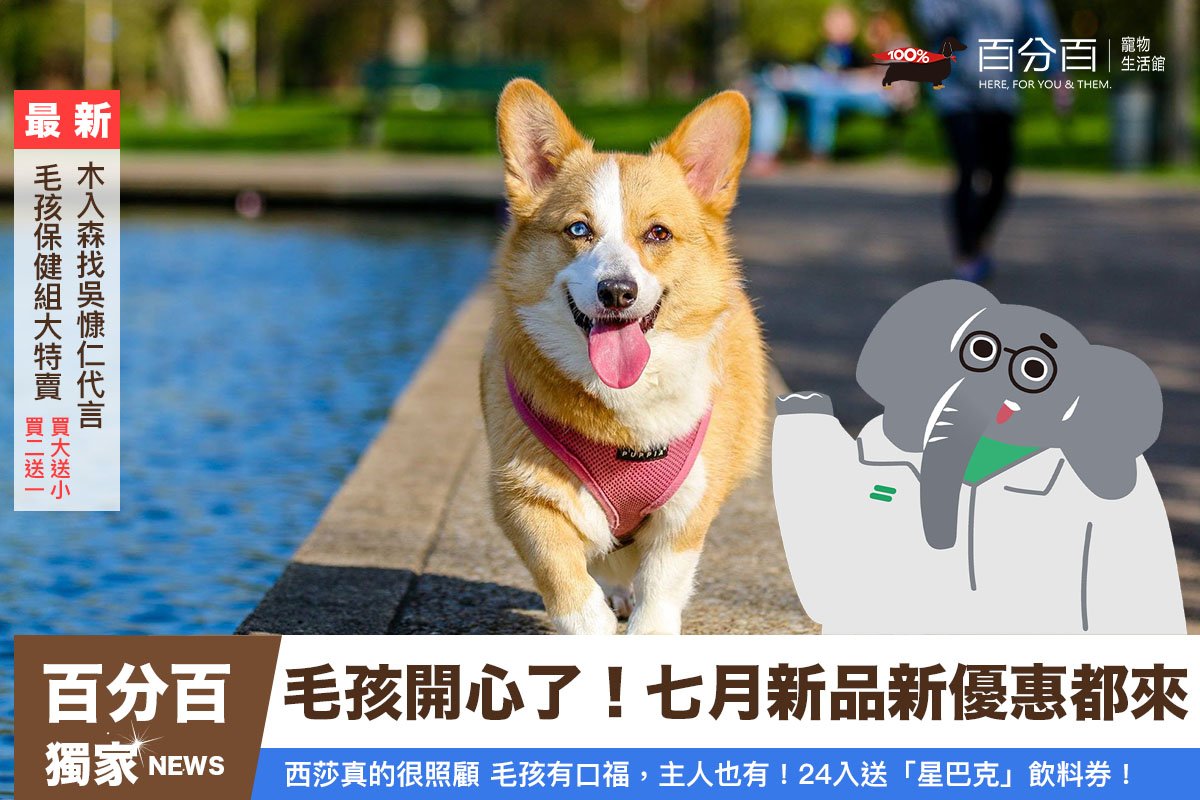 7月來點News! 眾多新品活動開跑!