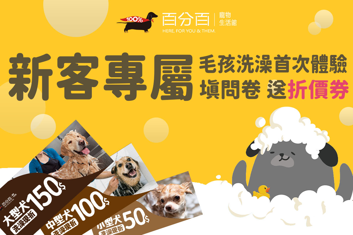 美容新客體驗！填問卷預約就有洗澡折價券！