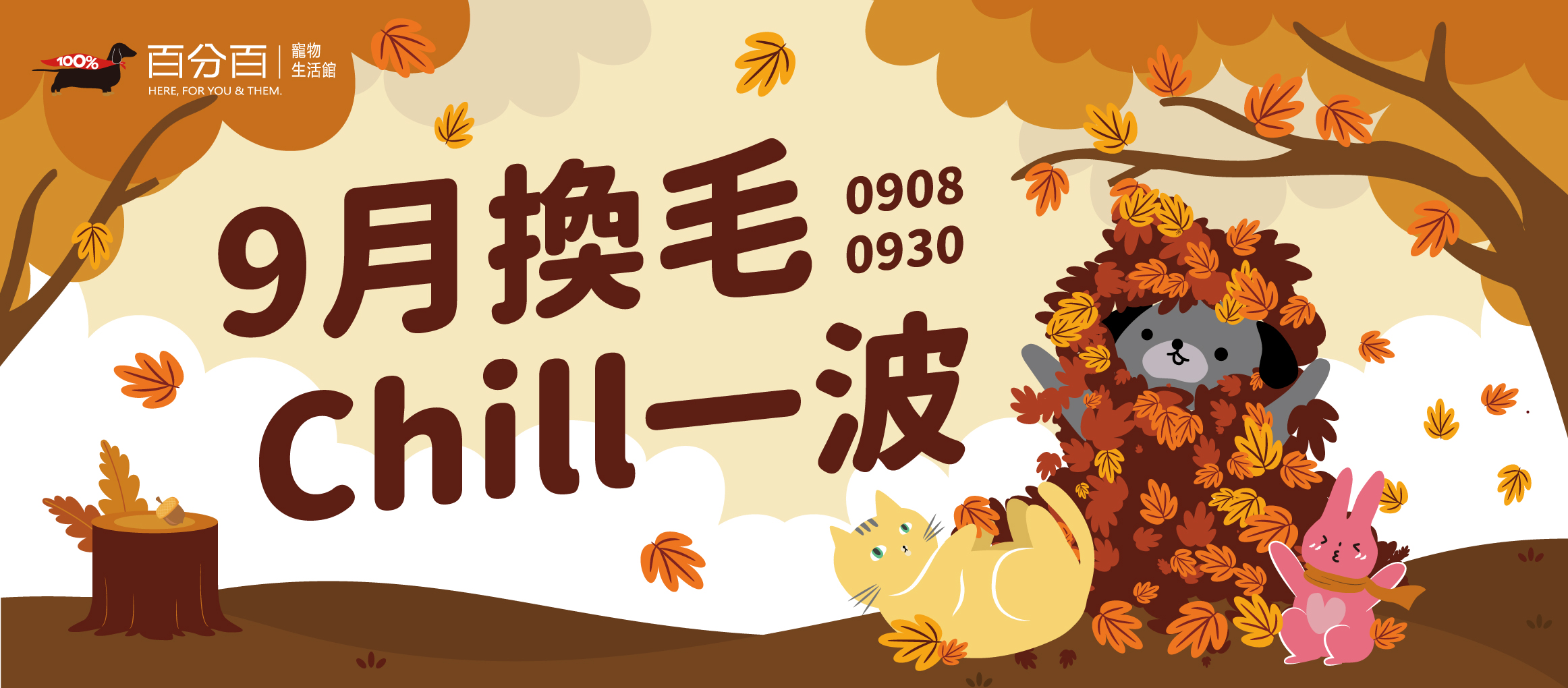 九月換毛Chill一波 百分百讓毛孩美麗變身